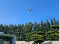 松美术馆 